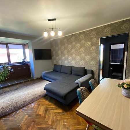 Comfort Home Apartment 2 Petrosani Bagian luar foto