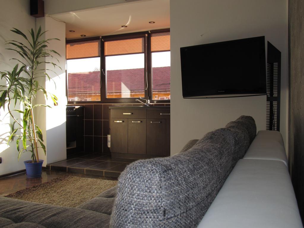 Comfort Home Apartment 2 Petrosani Bagian luar foto
